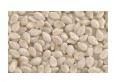 Sesame Seeds