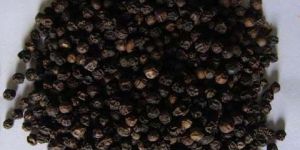 Black Pepper Seeds