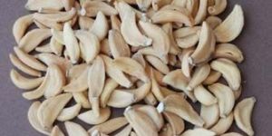 Dehydrated Garlic Cloves