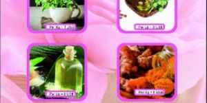 Organic Vermicompost