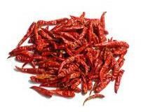 Dried Red Chilli