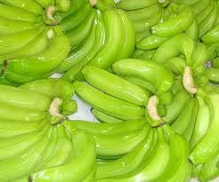 Fresh Green Banana
