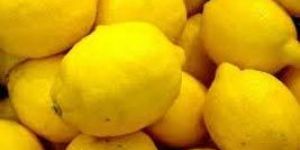 Fresh Lemon
