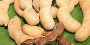Tamarind