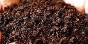 Bio Fertilizer