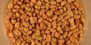 Fenugreek Seeds