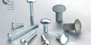 Carriage Bolt