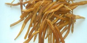 Yellow Shatavari Roots ( Asparagus Racemosus )