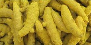 Turmeric Finger