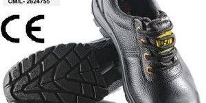 Safety Shoes