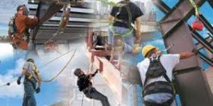 Single Rope Safety Harness