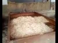 Wooden Match Splints