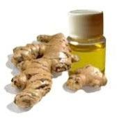Ginger Oil