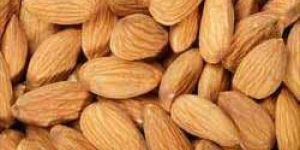 Almond Kernels