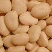 Lima Beans
