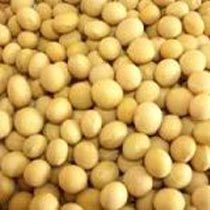 Soybeans