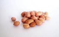 Peanut Seeds