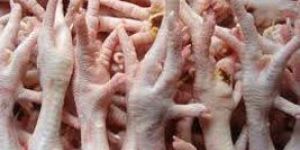 Frozen Chicken Feet