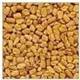 Fenugreek Seeds