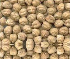 White Chickpeas