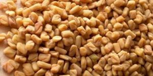 Fenugreek Seeds
