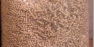 Transportation Service