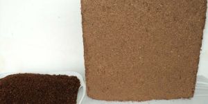Coconut Peat