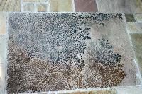 Fossil Sandstone