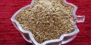 Roasted Dill Seeds