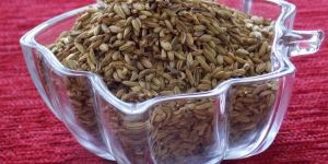 Fennel Sweet (Roasted)