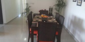 Wooden Dining Table Set