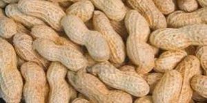 Shelled Peanuts