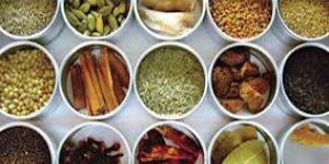 Indian Spices