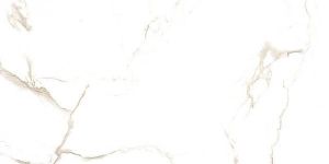 1002 Iconic Glossy Series Tiles