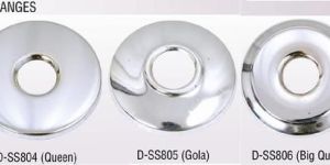 Stainless Steel Flanges