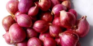 Fresh Small Onion