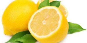 Fresh Lemon