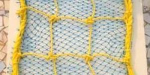 Fish Safety Net