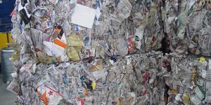 Old News Paper Scrap