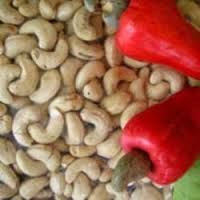 Cashew Nut w180 W 320