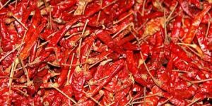 Dried Red Chilli