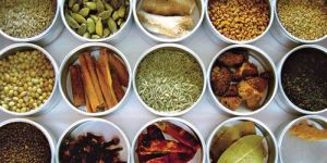 Indian Spices