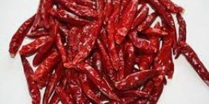 Dried Red Chili