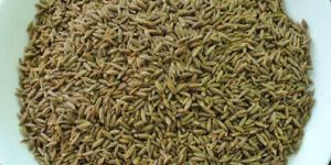 Cumin Seeds