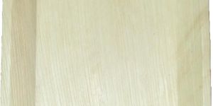 Square Areca Leaf Plates