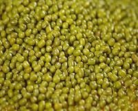 Green Moong