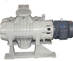 Roots Vacuum Pump
