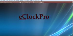 Time Attendance & Payroll Management Software (eClockPay)