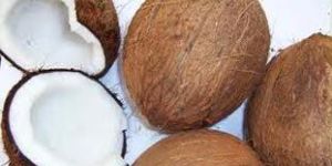 Husked Coconut