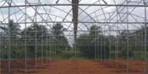 Greenhouse Construction Services